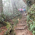 P4190402.JPG