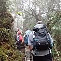 P4190401.JPG