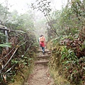 P4190411.JPG