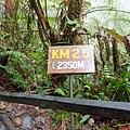 P4190412.JPG