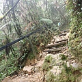 P4190415.JPG