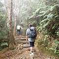 P4190413.JPG