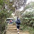P4190435.JPG