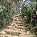 P4190445.JPG