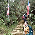 P4190444.JPG