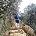 P4190462.JPG