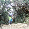 P4190465.JPG