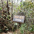 P4190466.JPG