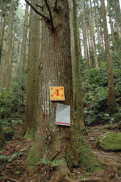 01 4號救援樁(木屋旁).jpg