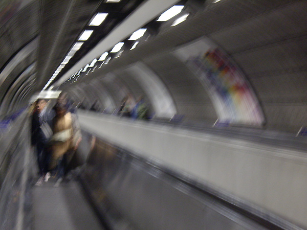 IMGP0445.JPG