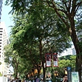 Orchard Rd