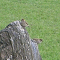 CIMG0655