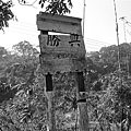 CIMG1482