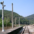 CIMG1484