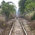 CIMG1530