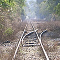 CIMG1531