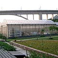 CIMG1540