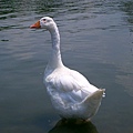 CIMG2345