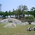 CIMG2349