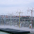 CIMG2391