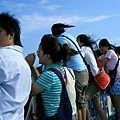 CIMG5253.JPG
