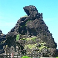 CIMG5304.JPG