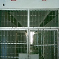 CIMG5316.JPG