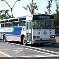 Kingbus 010.jpg