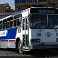 Kingbus 017.jpg