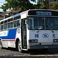 Kingbus 019.jpg