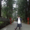 箱根神社樹中