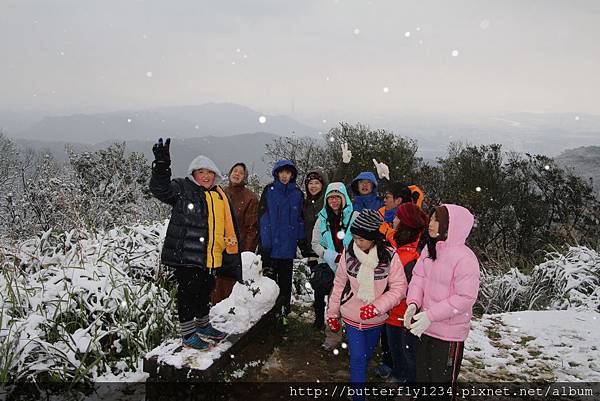 2016年1月24日四分尾山生態園區雪景 2016年1月24日四分尾山生態園區雪景