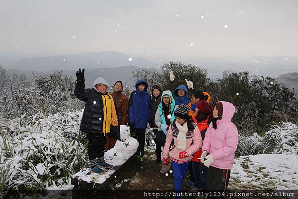 2016年1月24日四分尾山生態園區雪景