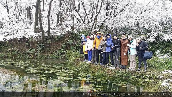 2016年1月24日四分尾山生態園區雪景 2016年1月24日四分尾山生態園區雪景