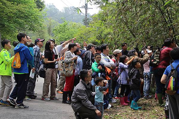 IMG_1789.JPG IMG_1789.JPG