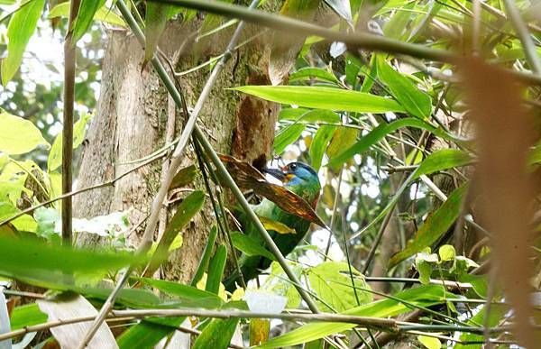 12967453_10209107028102808_1550676884400720132_o.jpg 12967453_10209107028102808_1550676884400720132_o.jpg