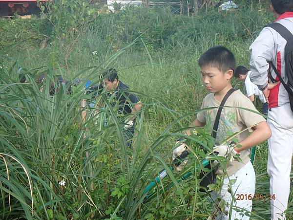 分組進行植栽養護工作 (1).JPG 分組進行植栽養護工作 (1).JPG