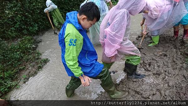 2016年10月29日四分尾山社區3C解碼山溪計畫~認識台灣原生魚及營造在地原生魚的家