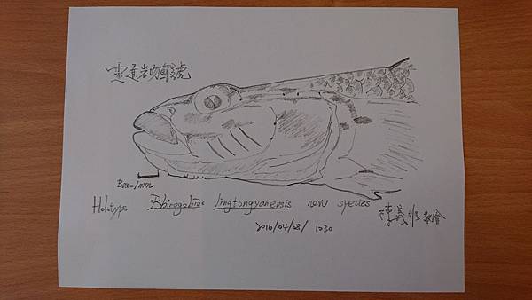 20170408海科館陳義雄教授原生魚_170416_0056手稿.jpg 20170408海科館陳義雄教授原生魚_170416_0056手稿.jpg