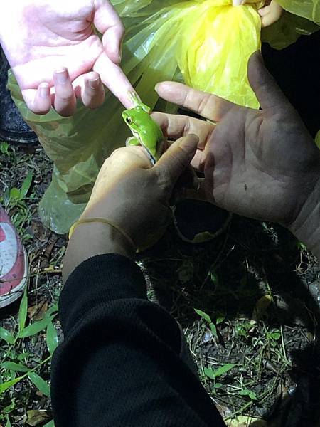 S__14377205(翡翠).jpg S__14377205(翡翠).jpg