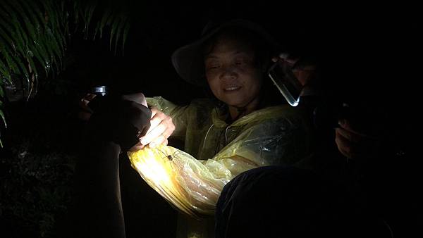 2020-05-16 夜觀_200517_0066(5).jpg 2020-05-16 夜觀_200517_0066(5).jpg