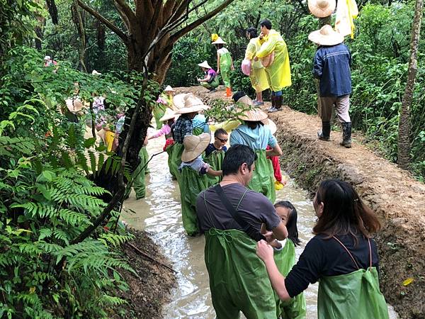 20210424 開啟新梯田_6.jpg 20210424 開啟新梯田_6.jpg