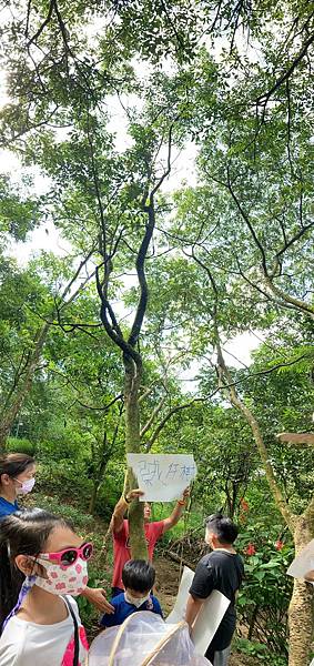 LINE_ALBUM_202194 烤肉_認識蝴蝶食草_211115.jpg LINE_ALBUM_202194 烤肉_認識蝴蝶食草_211115.jpg