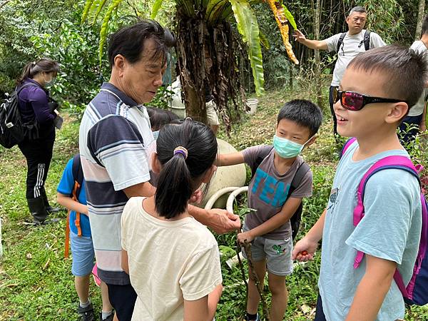 09LINE_ALBUM_20230805尋找幼蟲的蹤跡 -尋食草找幼蟲與飼養  廖學廣老師_230808_18.jpg