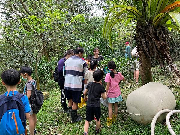 10 LINE_ALBUM_20230805尋找幼蟲的蹤跡 -尋食草找幼蟲與飼養 廖學廣老師_230808_17.jpg