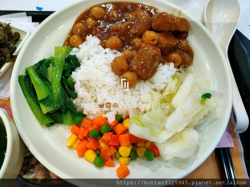 三商巧福(夢時代門市):汕頭牛肉麵套餐/蓮子豬肉飯