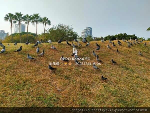 高雄中央公園之到此一遊~ ~