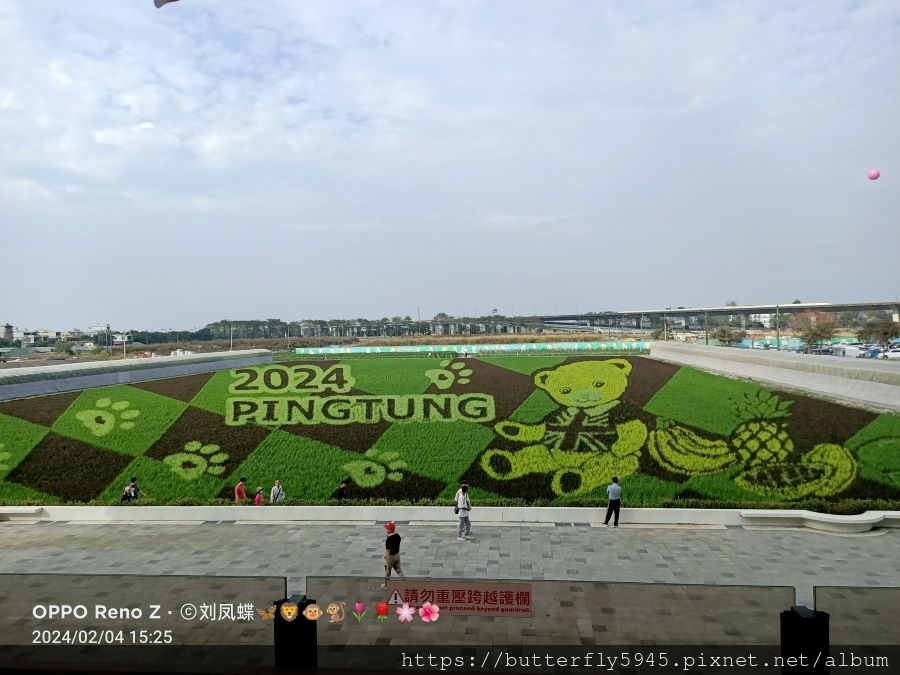 2024屏東熱帶農業博覽會:泰迪熊彩繪稻田