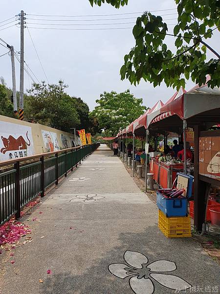 2021桐花祭｜台中外埔水流東桐花步道%26;高鐵觀景台｜健行賞桐花好去處~近距離感受高鐵呼嘯而過｜gigi手機玩透透-31.jpg