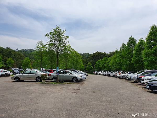 桃園免門票景點｜天御花園(咖啡、花草、套餐)｜逛花市~吃喝下午茶的好去處｜gigi手機玩透透-14.jpg